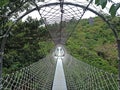 Suspended hanging bridge made from ropes