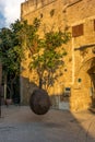 Suspended Jaffa Orange tree in Old Jaffa Royalty Free Stock Photo