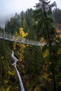 Suspended metal bridge. Royalty Free Stock Photo