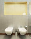 Suspended toilet and bidet on the wall tiles in gray.