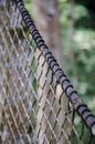 Suspended tree top or canopy walk in rain forest of Nigeria Royalty Free Stock Photo