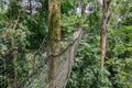 Suspended tree top or canopy walk in rain forest of Nigeria Royalty Free Stock Photo