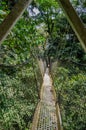 Suspended tree top or canopy walk in rain forest of Nigeria Royalty Free Stock Photo