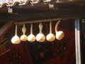 Suspended white decorative long pumpkins in Bulgaria.