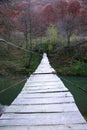 Suspended wire bridge