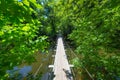 Suspended wire bridge across a river Royalty Free Stock Photo