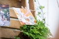 Suspended wood pallet and crates decorated with rope and wedding photos