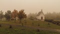 Suspenseful Foggy Autumn Scenery Royalty Free Stock Photo