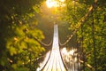 Suspension bridge