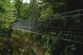 Suspension bridge