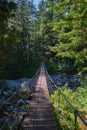 Suspension bridge on Bedwell Lakes trail, Strathcona Provincial Park, BC