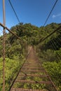 Suspension bridge in the cloudforest, Volcan Baru National Park