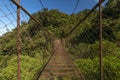 Suspension bridge in the cloudforest, Volcan Baru National Park