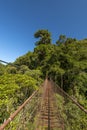 Suspension bridge in the cloudforest, Volcan Baru National Park