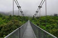 Suspension bridge Costa Rica Monteverde Cloud Forest Royalty Free Stock Photo