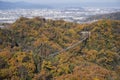 Suspension Bridge in Deciduous Forest of Hoshida Park during Autumn Foliage