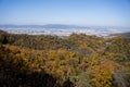 Suspension Bridge in Deciduous Forest of Hoshida Park during Autumn Foliage