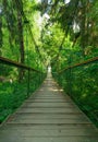 Suspension bridge ferriage in the woods Royalty Free Stock Photo