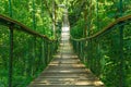 Suspension bridge ferriage in the woods Royalty Free Stock Photo