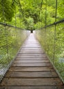 Suspension bridge in the forest Royalty Free Stock Photo