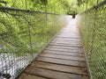 Suspension bridge in the forest in prespective Royalty Free Stock Photo