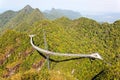 Suspension bridge, Gunung Mat Cincang, Langkawi