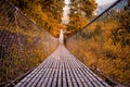 Suspension Bridge inside the beautiful forest in Autumn Fall Season