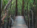 Suspension bridge in Kung Krabaen Bay Royal Development Study Center Royalty Free Stock Photo