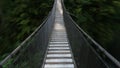 Suspension bridge leading to deep forest