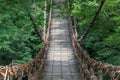 Suspension bridge made of mountain vines, Fukui Prefecture, Japan