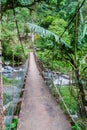 Suspension bridge over Caldera river near Boquete Panama , on Lost Waterfalls hiking trai Royalty Free Stock Photo