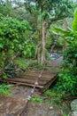 Suspension bridge over Caldera river near Boquete Panama , on Lost Waterfalls hiking trai Royalty Free Stock Photo