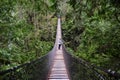 Suspension bridge over the canyon in rain forest. Royalty Free Stock Photo