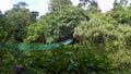 The suspension bridge over the lake at Rainforest Discovery Centre In Sepilok, Borneo