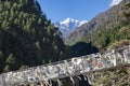 Suspension bridge over the mountain gorge in. Royalty Free Stock Photo