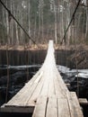 Suspension bridge with the river