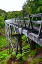 Suspension Bridge, South Coast Track Royalty Free Stock Photo