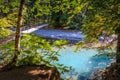 Suspension Bridge to the Grove of the Patriarchs, Mount Rainier National Park, Washington Royalty Free Stock Photo