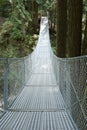 Suspension Bridge Royalty Free Stock Photo