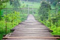 Suspension bridge, wooden rope walkway to the forest