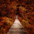 Suspension bridge. wooden suspension bridge in the forest.