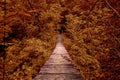 Suspension bridge. wooden suspension bridge in the forest.