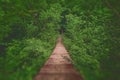 Suspension bridge. wooden suspension bridge in the forest.