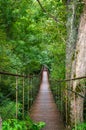 Suspension cable bridge, Crossing the river, ferriage in the woods. Adygea republic, Krasnodar region, Russia Royalty Free Stock Photo