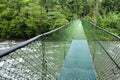 Suspension foot bridges allow viewing the biodiversity of in Tirimbina Biological Reserve in Costa Rica from above. Royalty Free Stock Photo