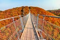 Suspension footbridge Geierlay Royalty Free Stock Photo