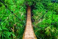 Suspension pedestrian bridge made from natural bamboo Royalty Free Stock Photo