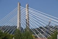 Tillicum Crossing Public Transit Bridge Image 2, Portland, Oregon