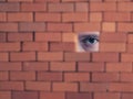 Suspicious person looking through the hole in the red brick wall Royalty Free Stock Photo