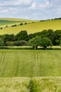 A Sussex Farm Landscape Royalty Free Stock Photo